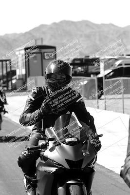media/Mar-08-2025-TrackXperience (Sat) [[277b597a28]]/1-Around the Pits - Pre Grid/